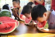 趣味吃瓜大比拼